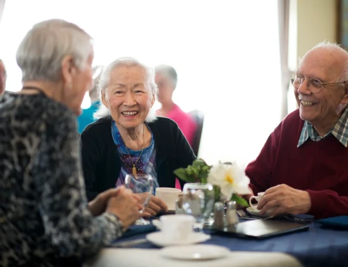 Senior Book Lovers: 5 Affordable Resources for Finding Reading Materials